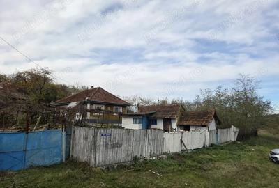 Vand casa si teren intravilan, Popesti, Vaslui - 8