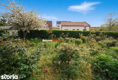 Apartament cu 2 camere în Iorga - 4