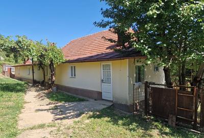 Casa in mediu rural cu teren - 15