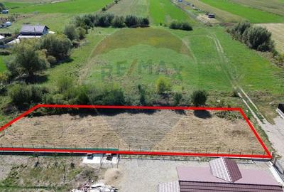 Teren de vânzare 1152 mp – Bod - Sânpetru- Brasov - 3