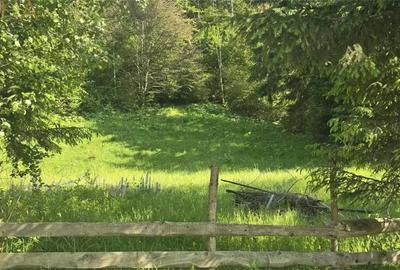 Teren intravilan de vanzare in Colibita - 1