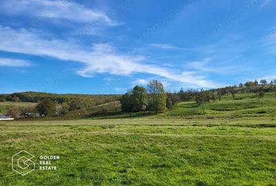 Teren de 2014 mp, în Cuveșdia - 1