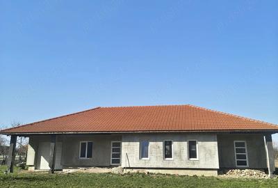 Casă cu Teren 25000 Mp în Traian - 4