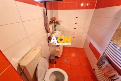 De vanzare casa 5 camere , 886mp teren, zona Alba-Micesti - 9
