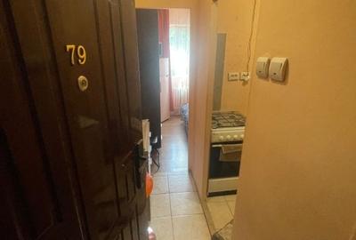 Garsonieră semidecomandată, mobilată în Valea Rosie - 5