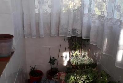 Apartament cu 3 camere decomandat în 2 Moldoveni - 8