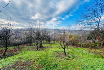 Teren de 723 mp, în Central