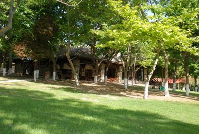 Casa de vacanta lux premium Grecia - 15