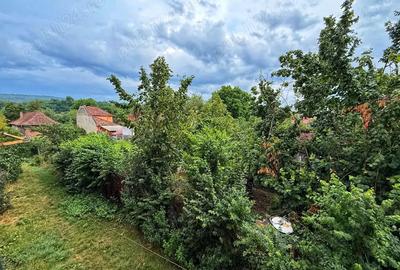 Apartament cu o camera, Sangeorgiu de Mures - 2