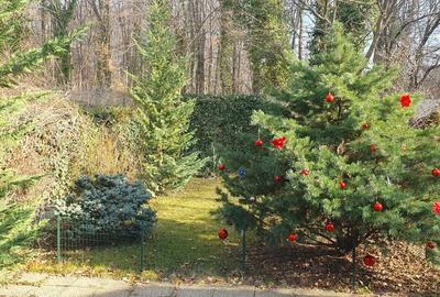 Casă cu 5 camere cu Teren 370 Mp în Băneasa - 9