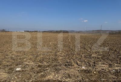 Teren de 2900 mp, în Central - 3
