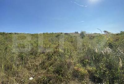 Teren de 3800 mp, în Crișeni - 3