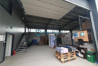 Spațiu industrial, de 365.98001098633 mp, în Păulești - 21
