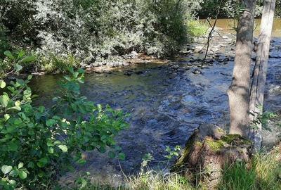 Teren de 3943 mp, în Negreni - 2