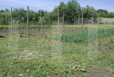 Teren de 2943 mp, în Mihai Eminescu