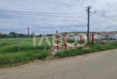 Spațiu industrial, de 840 mp, în Cut - 1