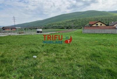 Spațiu comercial, în Ampoița - 4