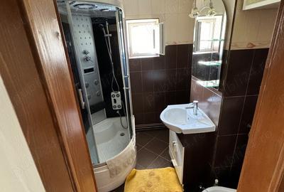 Apartament cu 3 camere decomandat în Lugoj - 6