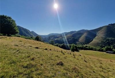 RECO teren extravilan Remeti - 6