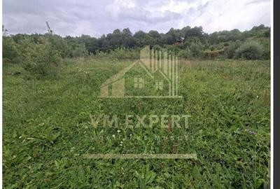 TEREN 20.621 MP CAMPULUNG - 9