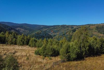 Comision 0% teren intravilan 1000 mp, PUZ, priveliste, Baisoara - 5