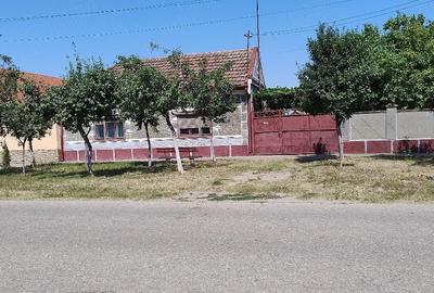 Casă cu Teren 1055 Mp în Central - 1