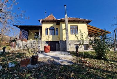Provita,central, casa renovata integral,vedere de vis