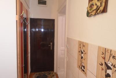 Garsonieră decomandată, mobilată în Iosefin - 7