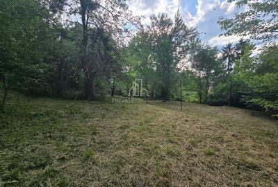 Casa 187Mp suprafat utila in zona centrala a Sighisoarei - 18