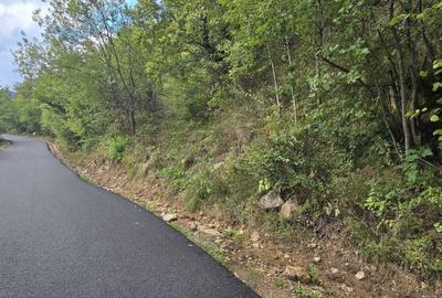 Teren de 13046 mp, în Muntele Rece - 8