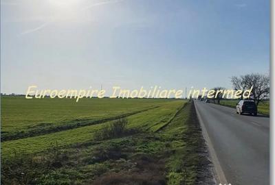 Teren de 25000 mp, în Agigea - 5