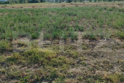 Teren de 2895 mp, în Central