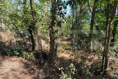 Teren 3000 mp - 1200 mp intravilan, zona Cuparu - 2