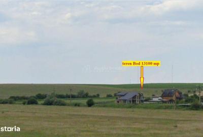 Spațiu comercial, în Bod - 4