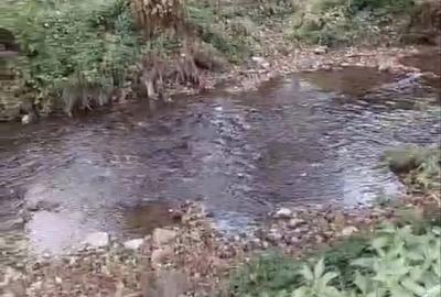 Casă cu 2 camere în Bratca - 6