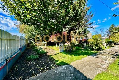 VALU LUI TRAIAN/CASA INDIVIDUALĂ/CURTE GENEROASA/SUPERBA/STRADALA/ZONA CENTRALA - 3