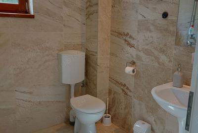 PROPRIETAR ofer casa de inchiriat - 7