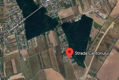 Teren de 1224 mp, în Corbeanca - 4