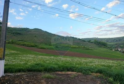 Teren de 1577 mp, în Târnăveni - 3