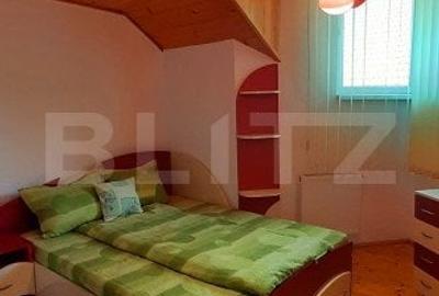 Casa de vacanta  pretabila pentru pensiune autorizata - 14