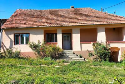 Casă cu 2 camere în Băcăinți - 3
