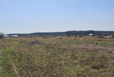 Teren în rate la dezvoltator | toate utilitatile | Acces A0 și DN1 - 4