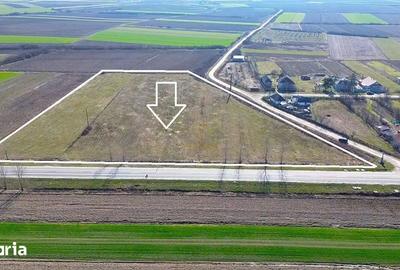 Teren de 14300 mp, în Medieșu Aurit - 7