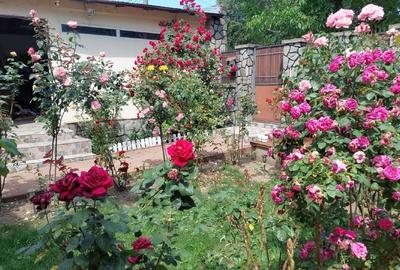 Casă de vânzare Ploiești Est - 3