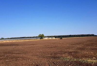 Teren Construcții intravilan de 30700 mp, în Brănești - 5