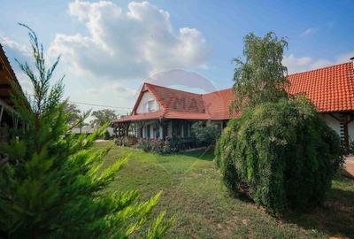 De vanzare Casa tradi?ionala, la doar 20 de minute de... - 15