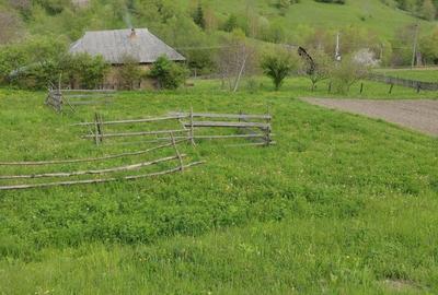 Spațiu comercial, în Potoci - 5