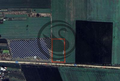 Teren de 9882 mp, în Berceni