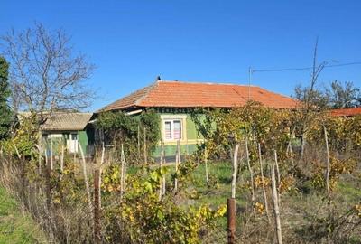 Se vinde casa  cu teren jud Teleorman - 1