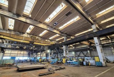 Inchiriere complex industrial versatil *hale - birouri - platforme betonate* - 3